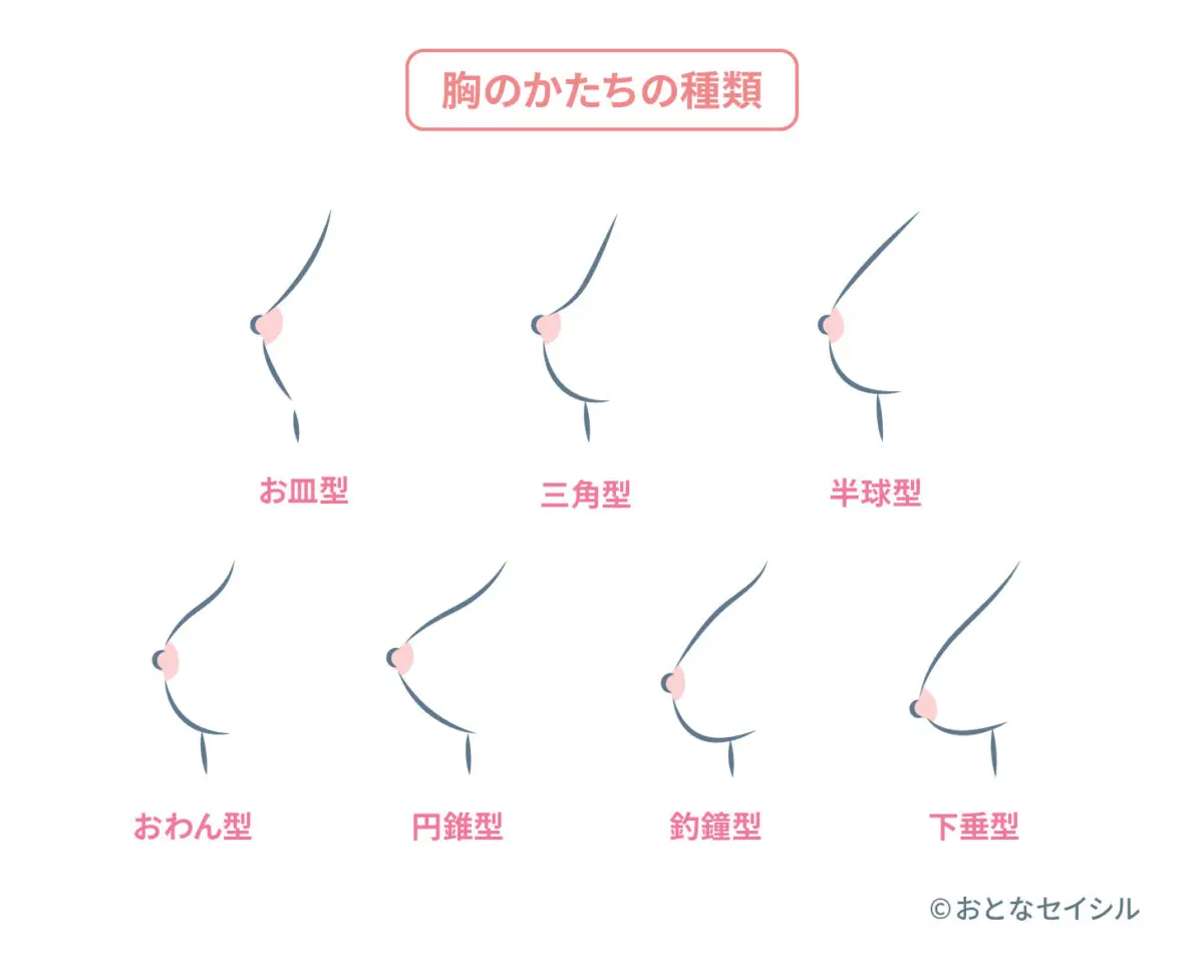 おっぱい 形 種類