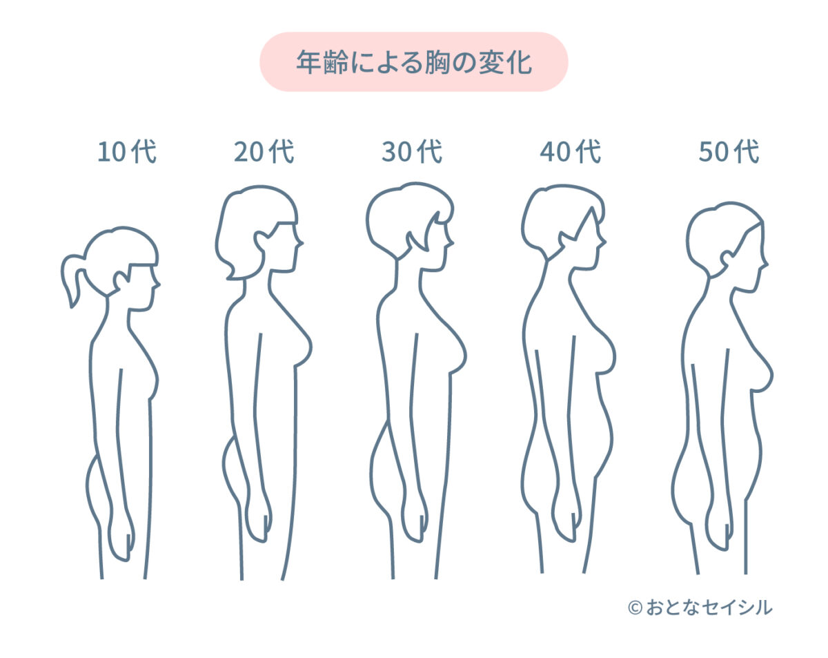 年齢による乳房の変化を表した画像イラスト