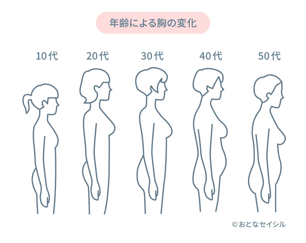 胸 が 大きく なる 理由