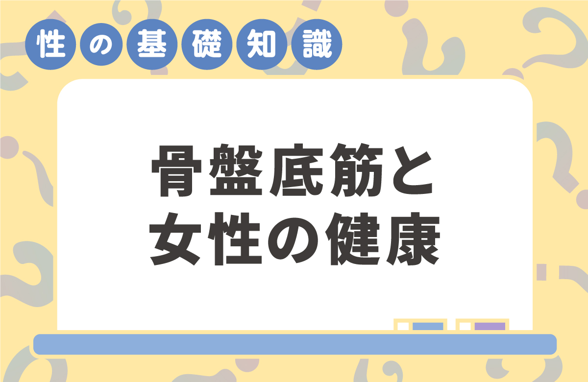 骨盤底筋とは　尿もれ・臓器脱予防にゆるませるべからず