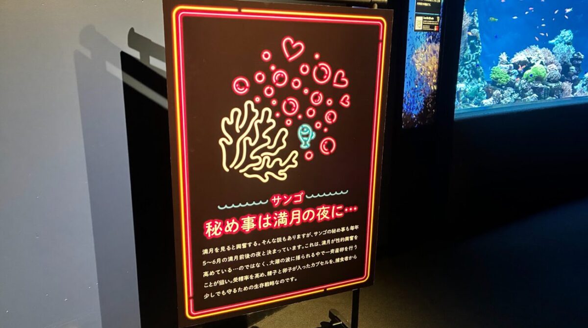性いっぱい展_サンゴの解説パネル