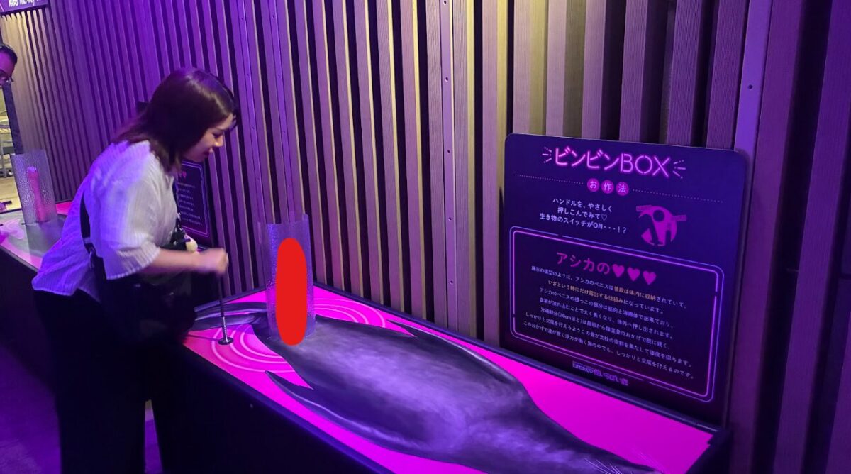性いっぱい展_ビンビンBOX